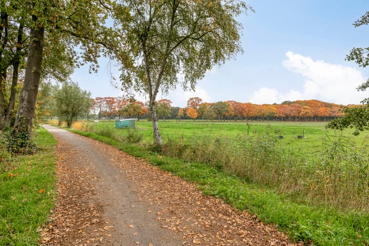 Photo 31 of Donkervoort 45