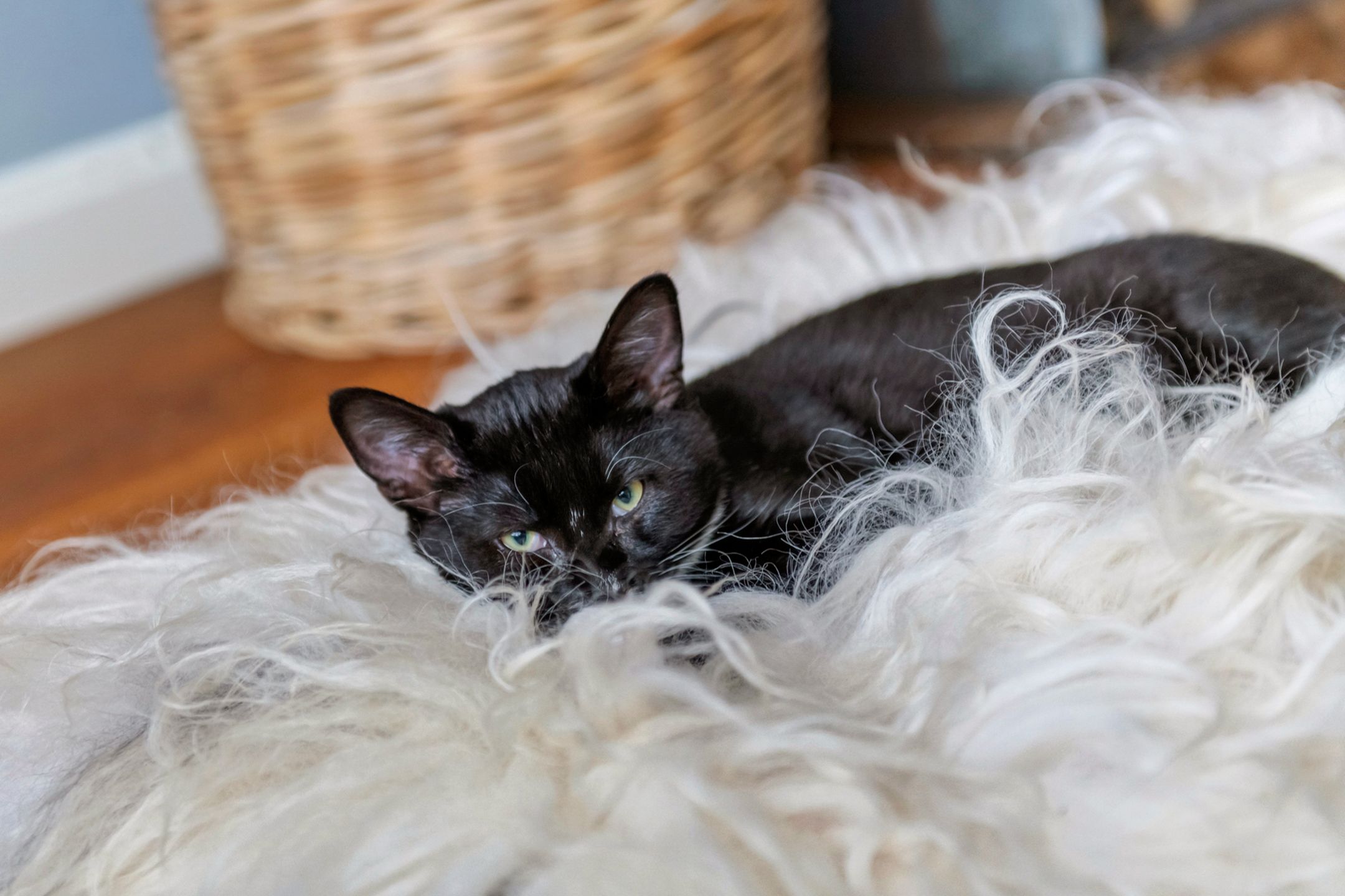 Foto 15 van Smalzijde 6