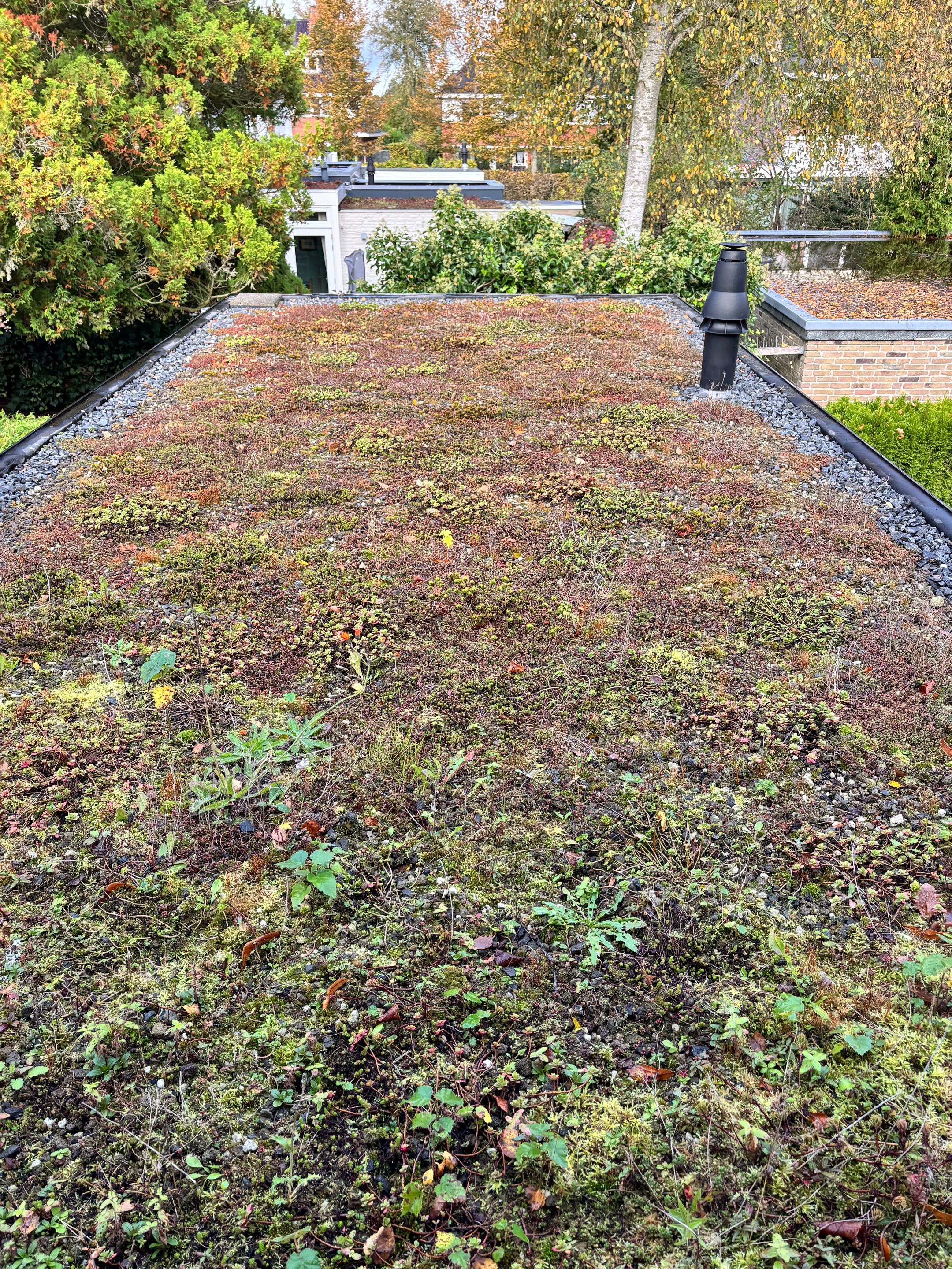 Foto 30 van Scheperweg 27