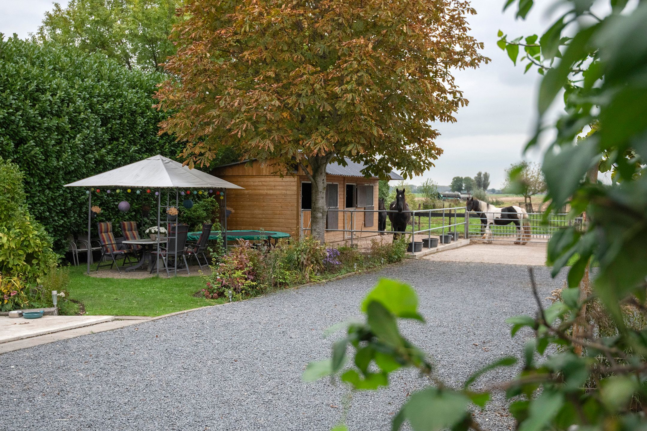 Foto 75 van Smalzijde 6