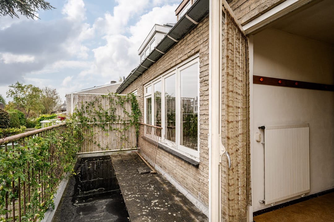 Foto 37 van De Carpentierlaan 3