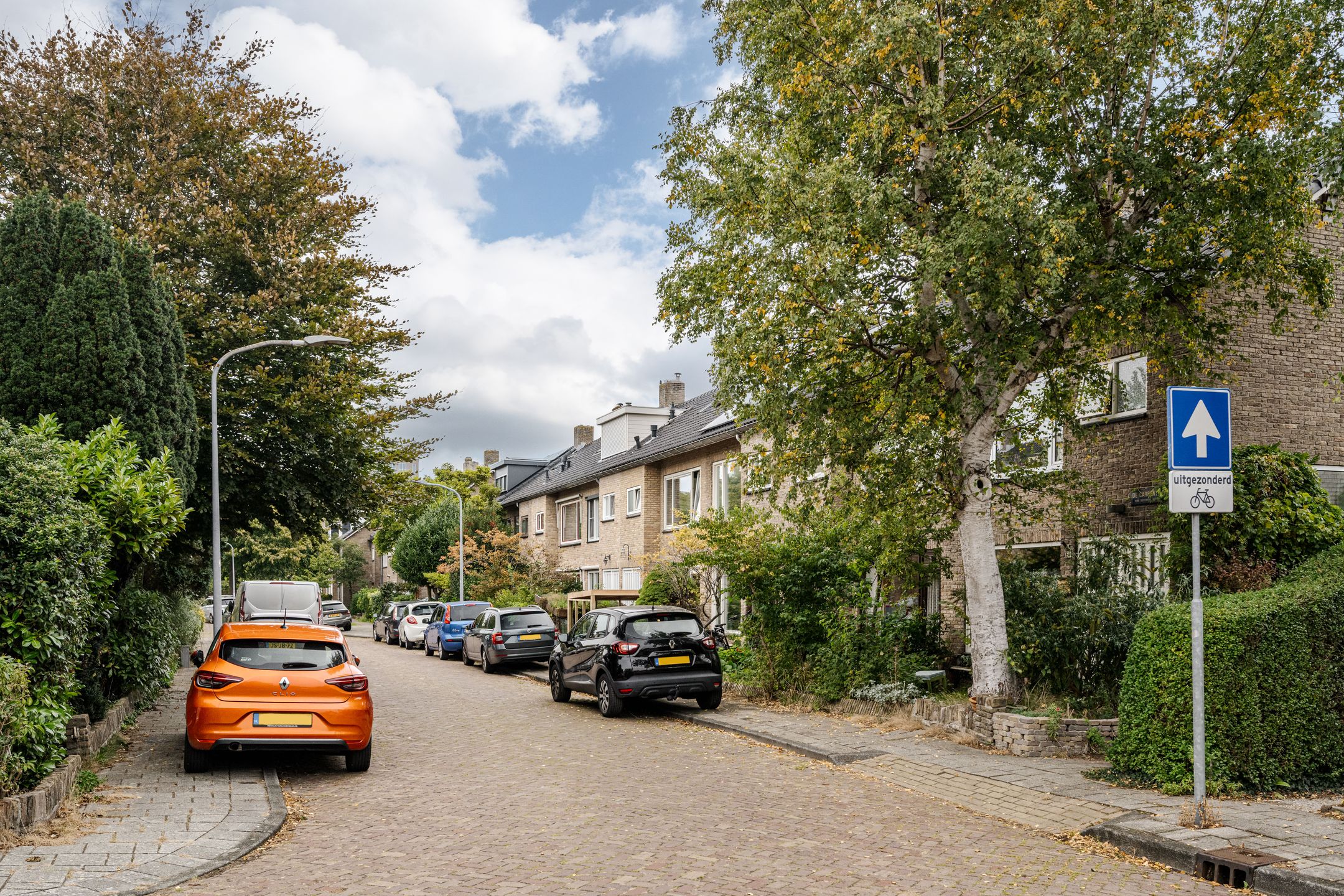 Foto 51 van De Carpentierlaan 3