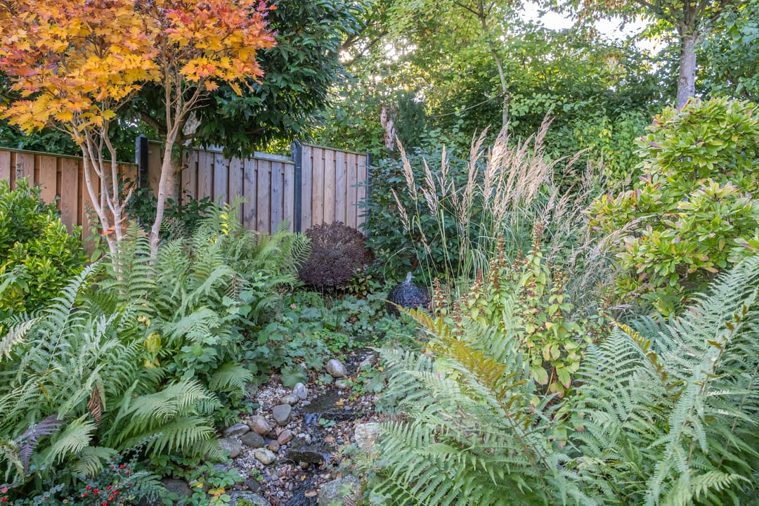 Foto 26 van Brikkebekker 32