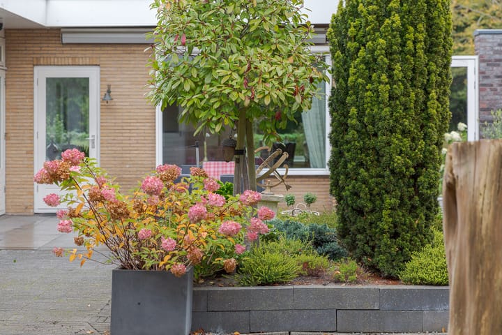 Photo 31 of Steenwijkerweg 50