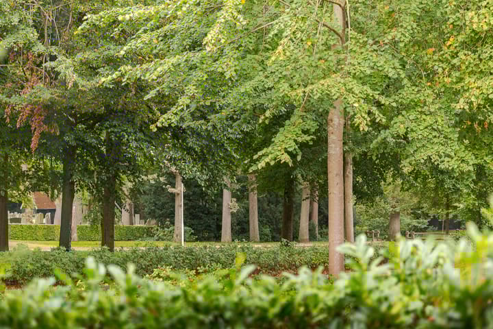 Photo 40 of Steenwijkerweg 50