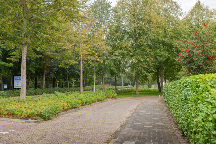 Photo 41 of Steenwijkerweg 50