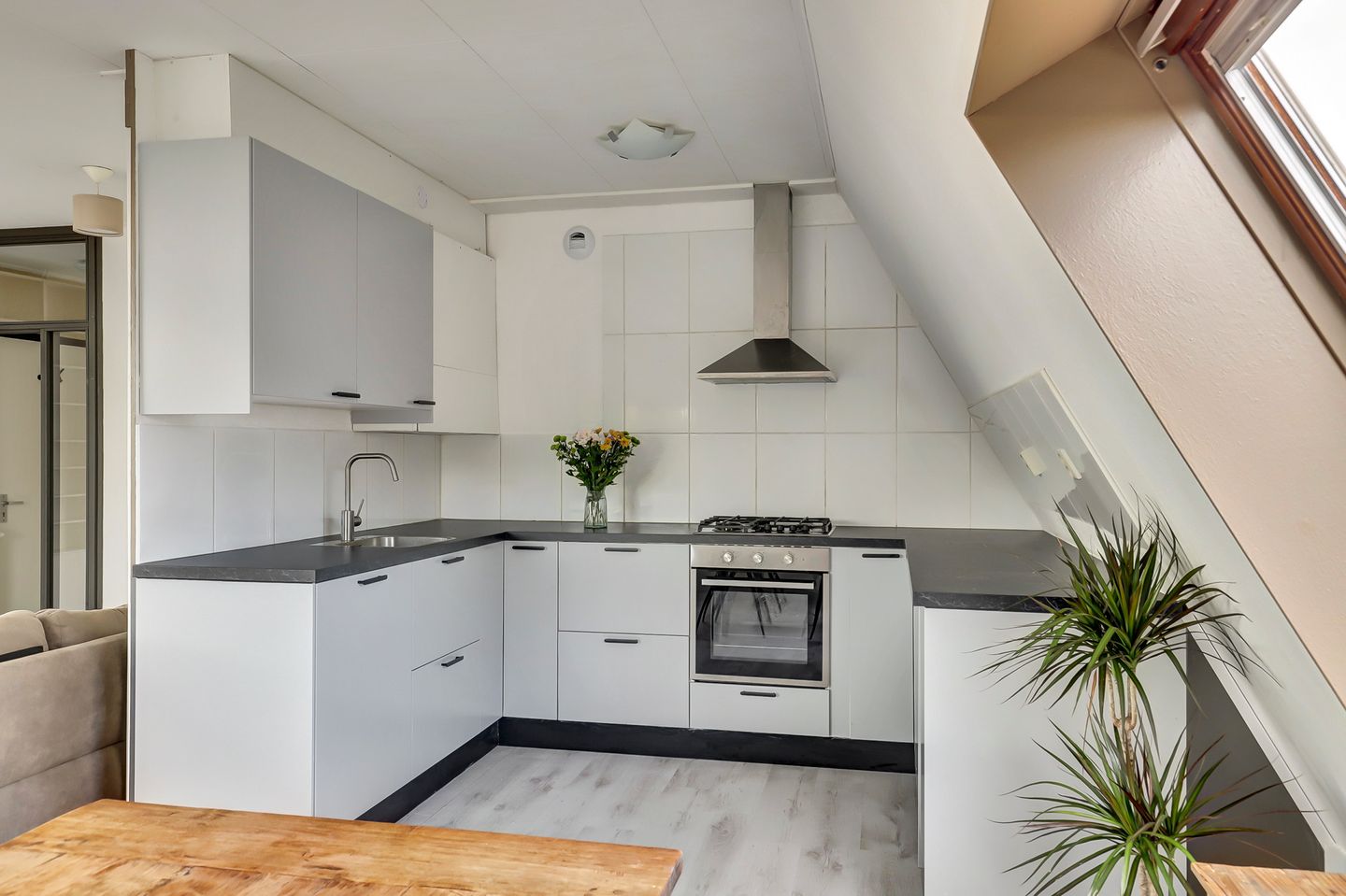 Foto 10 van Griend 35