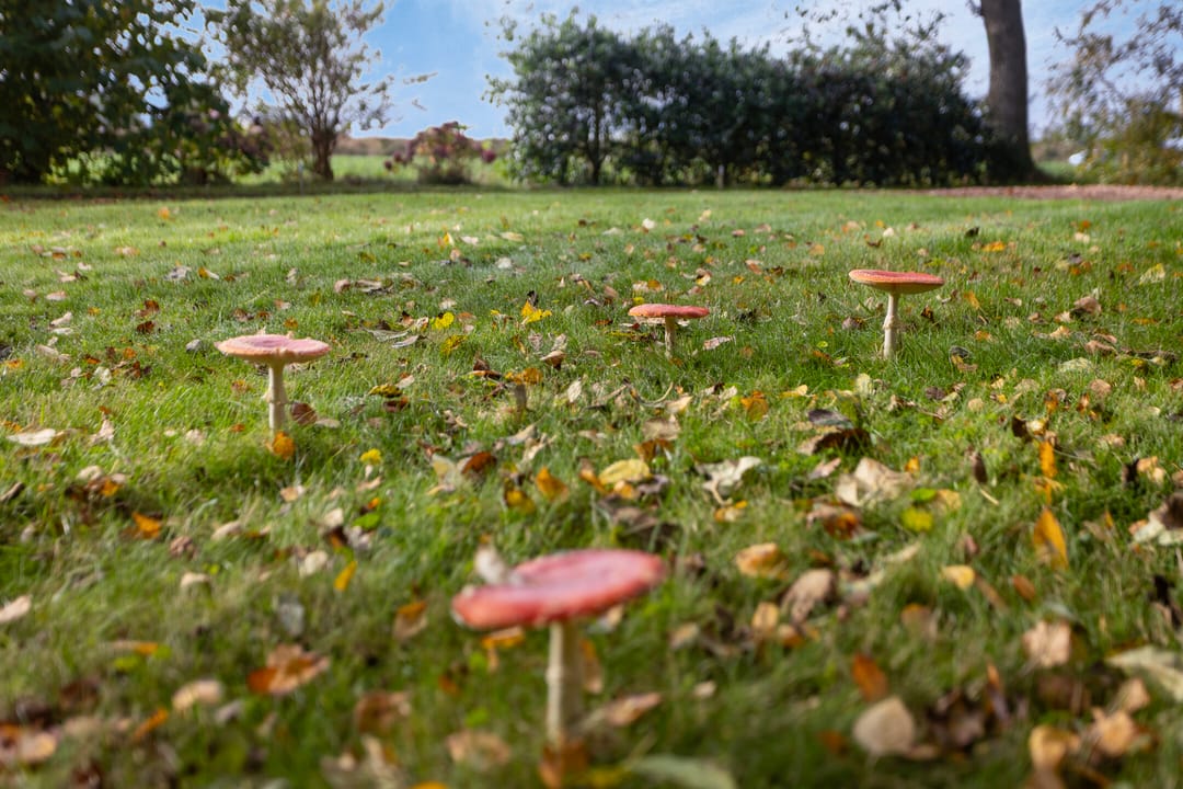 Foto 16 van Kanaeldyk 25