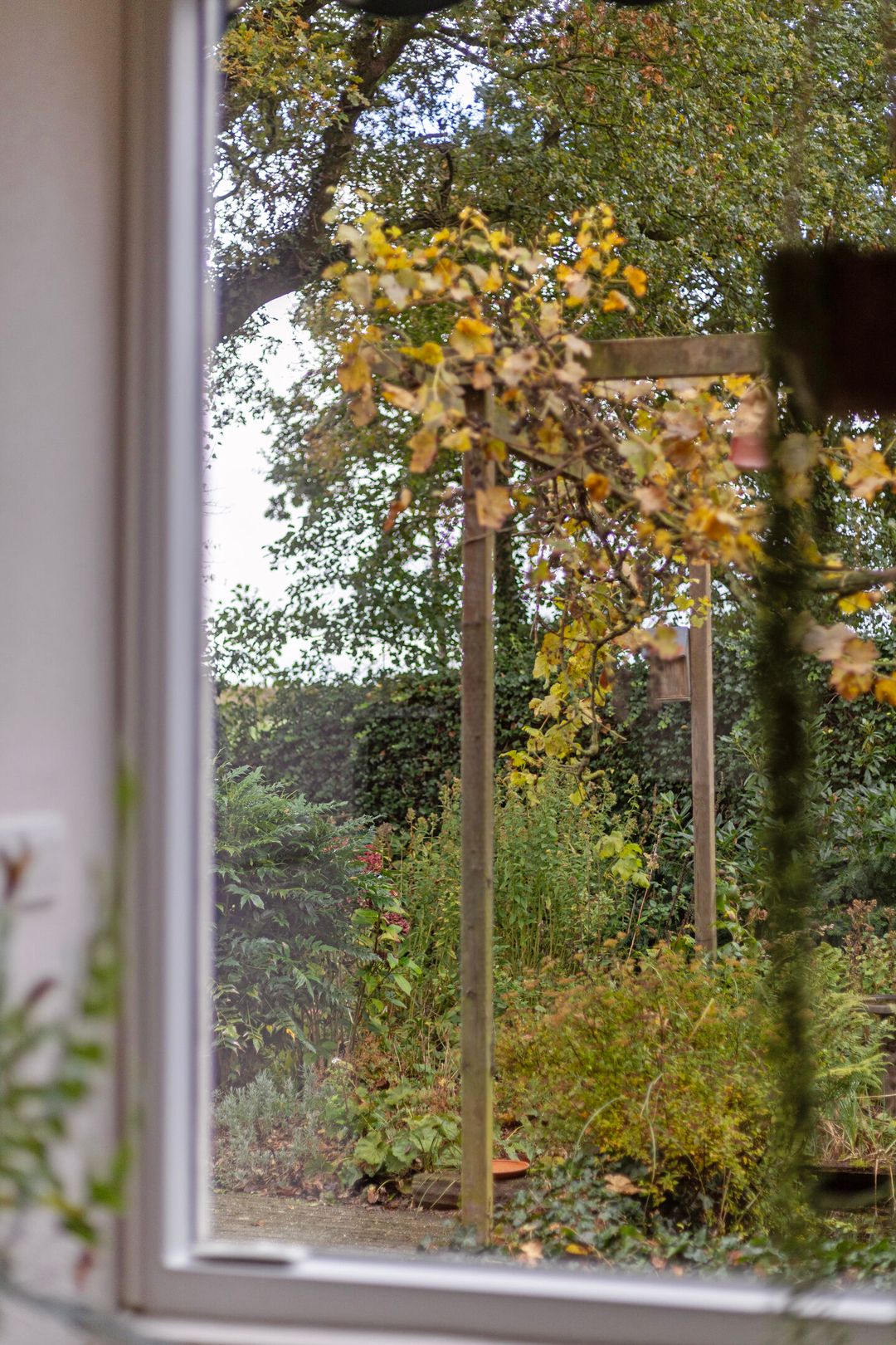 Foto 26 van Kanaeldyk 25