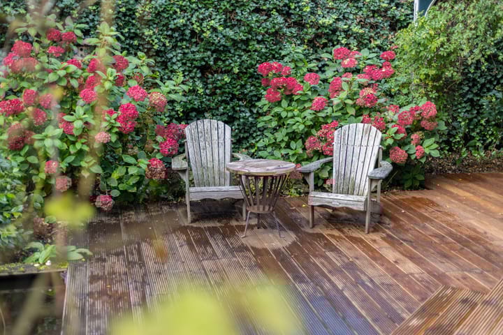 Foto 70 van Kanaeldyk 25