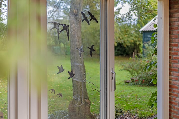 Foto 71 van Kanaeldyk 25