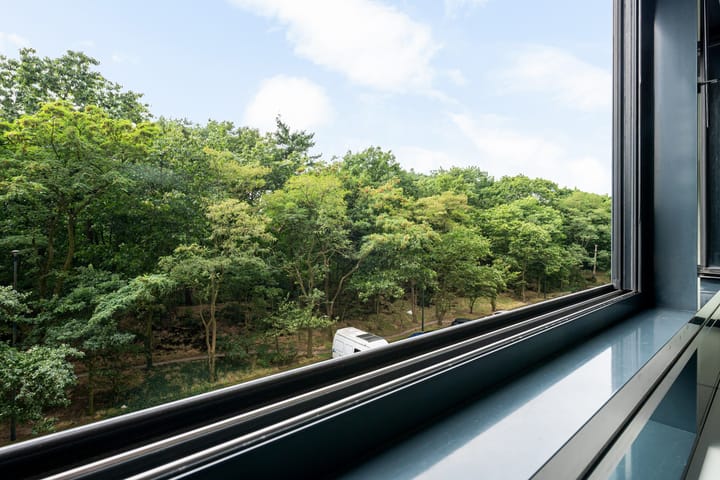 Foto 23 van Laan van Vollenhove 136