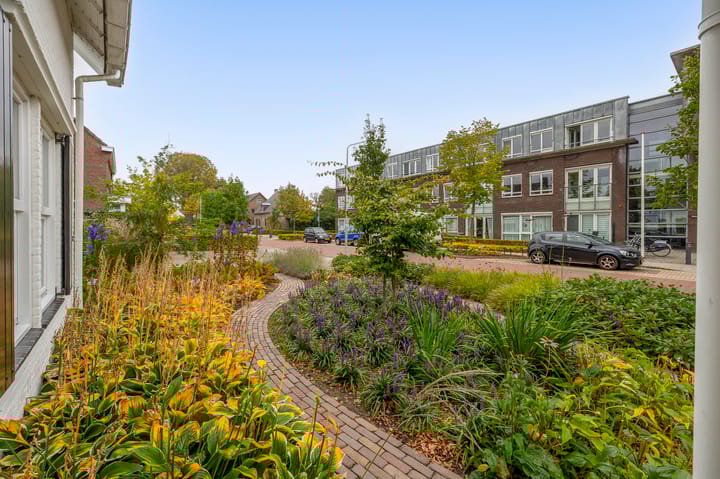 Photo 46 of Gebroeders Hoeksstraat 9