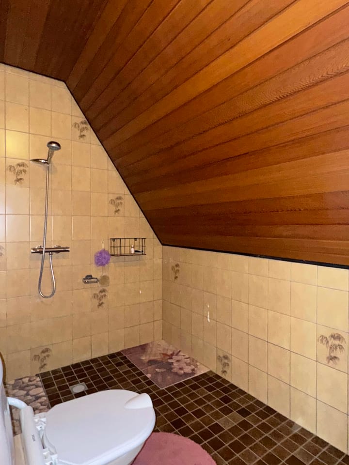 Photo 27 of van Heutszsingel 96