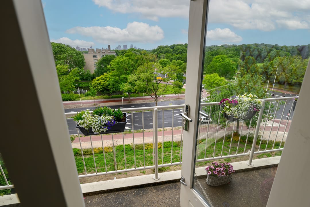 Foto 28 van Suzannaland 88