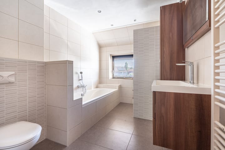 Foto 4 van Schatgoorn 50