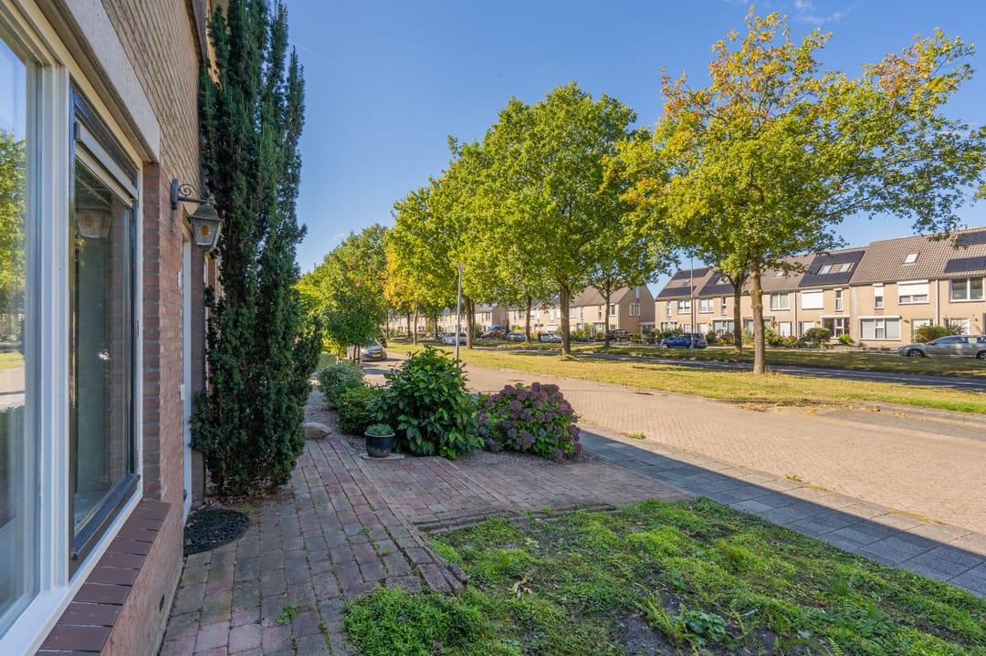 Photo 8 of Schatgoorn 50