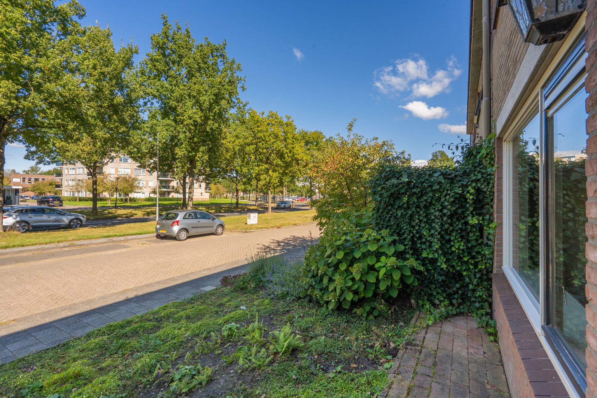 Photo 9 of Schatgoorn 50