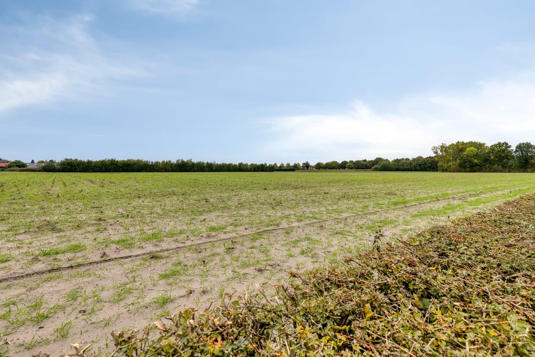 Foto 43 van De Landerije 9