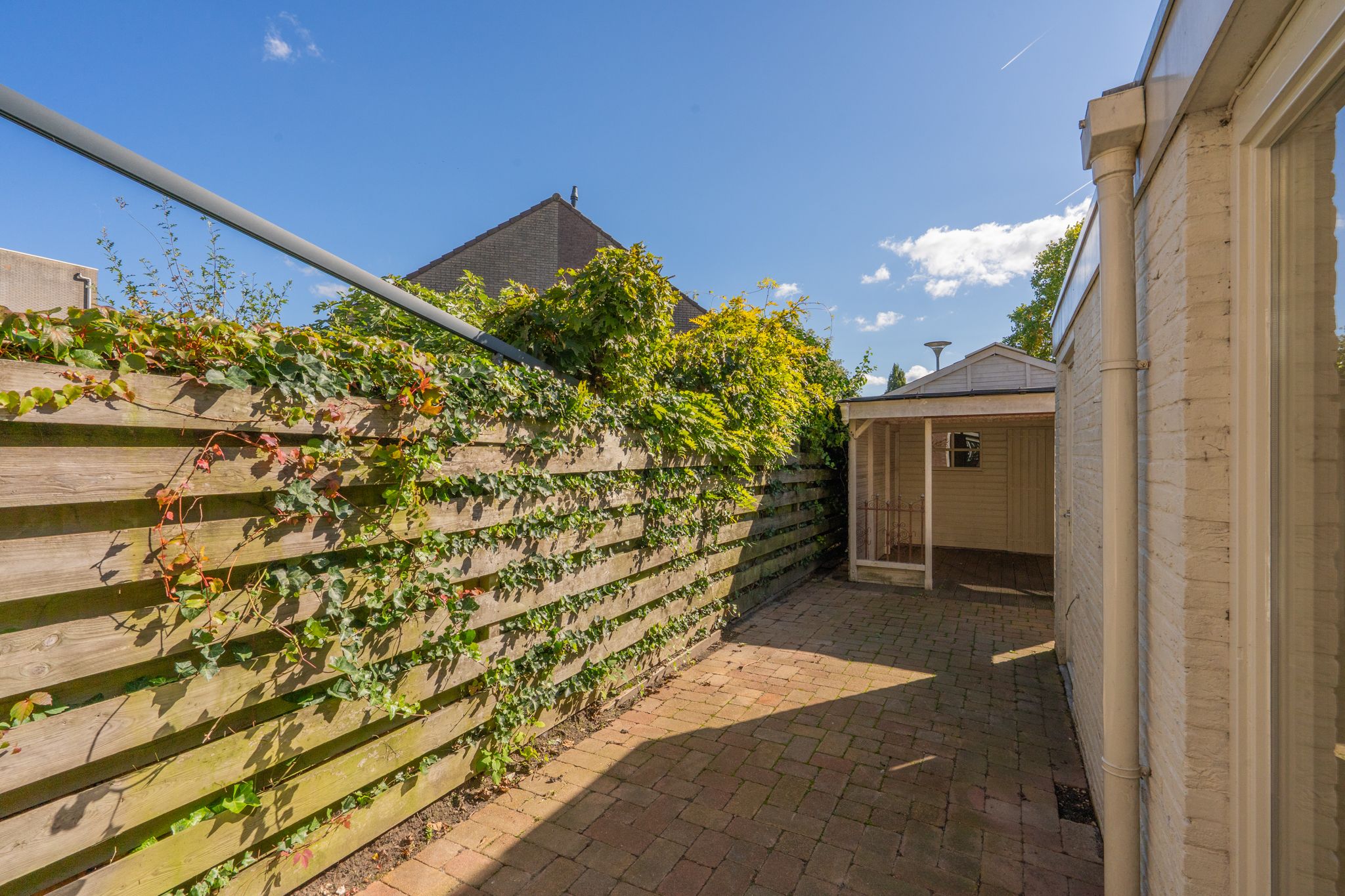 Photo 36 of Schatgoorn 50