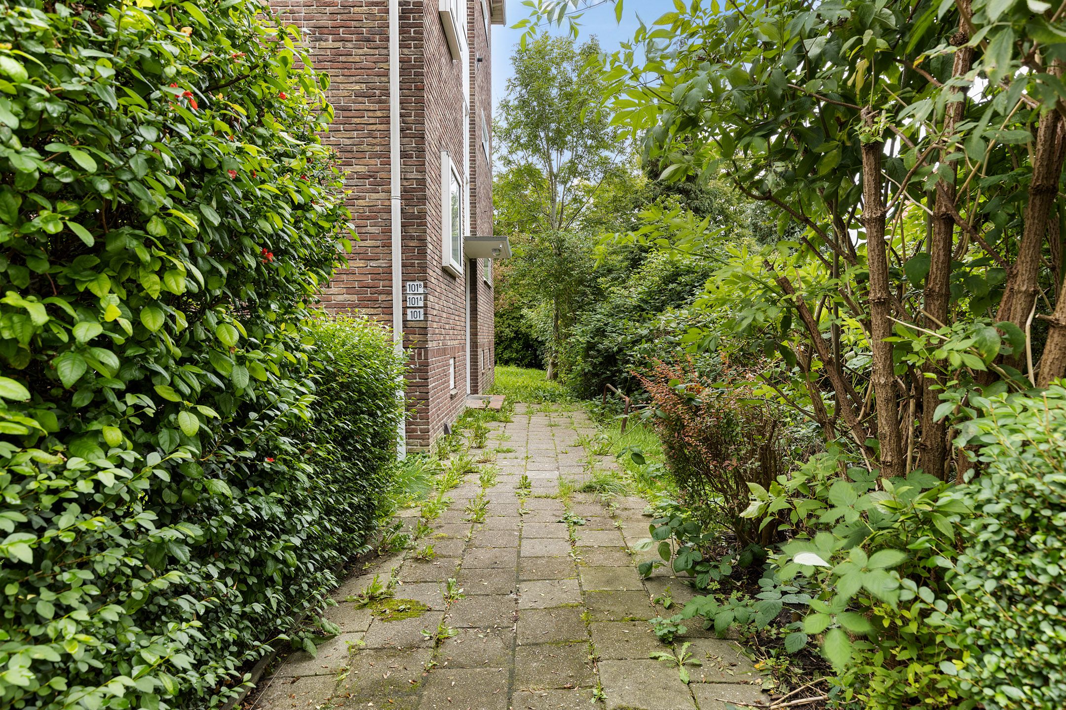 Foto 6 van Rijksweg 101