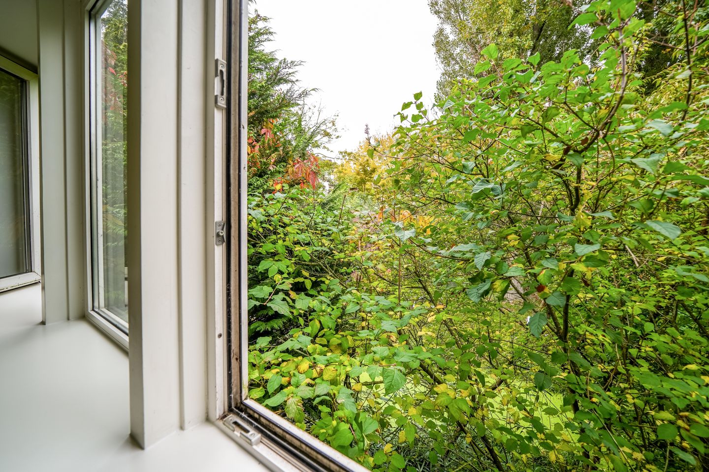 Foto 20 van Schoonderloostraat 155-E