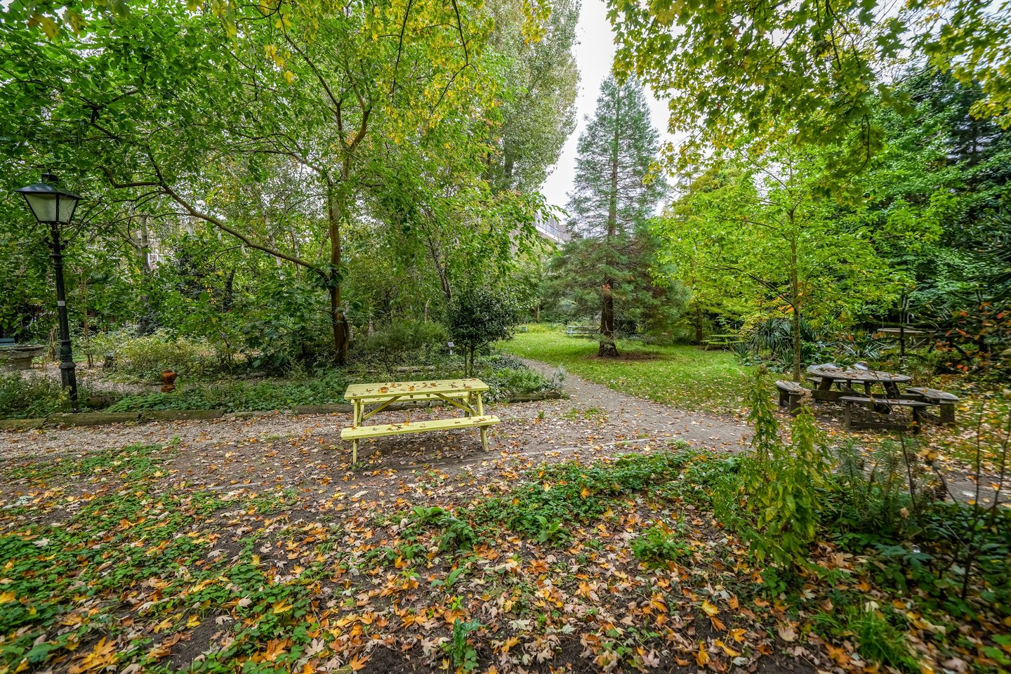 Foto 25 van Schoonderloostraat 155-E