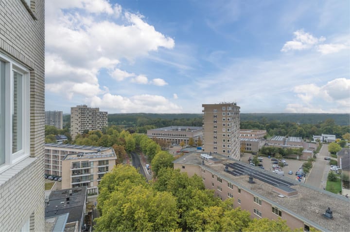 Foto 37 van Pettelaarseweg 184-K