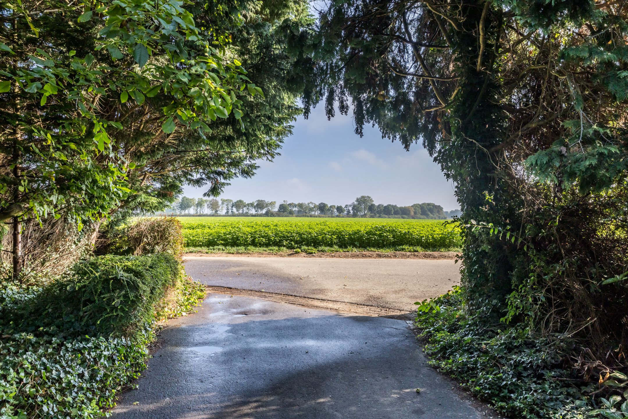 Foto 3 van Provincialeweg Noord 10