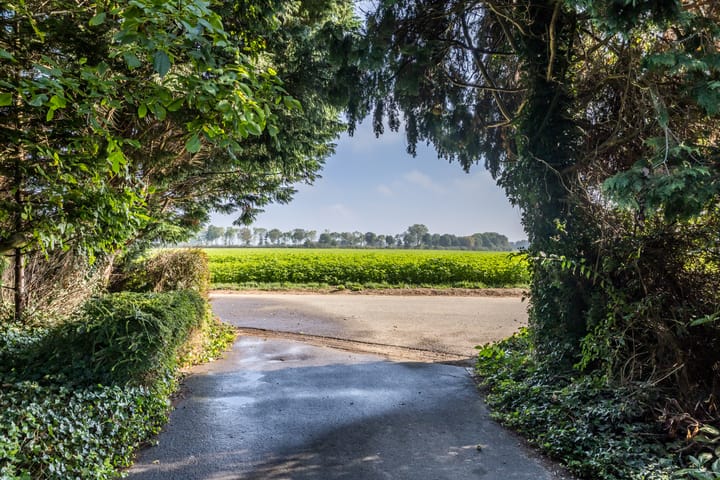 Foto 3 van Provincialeweg Noord 10