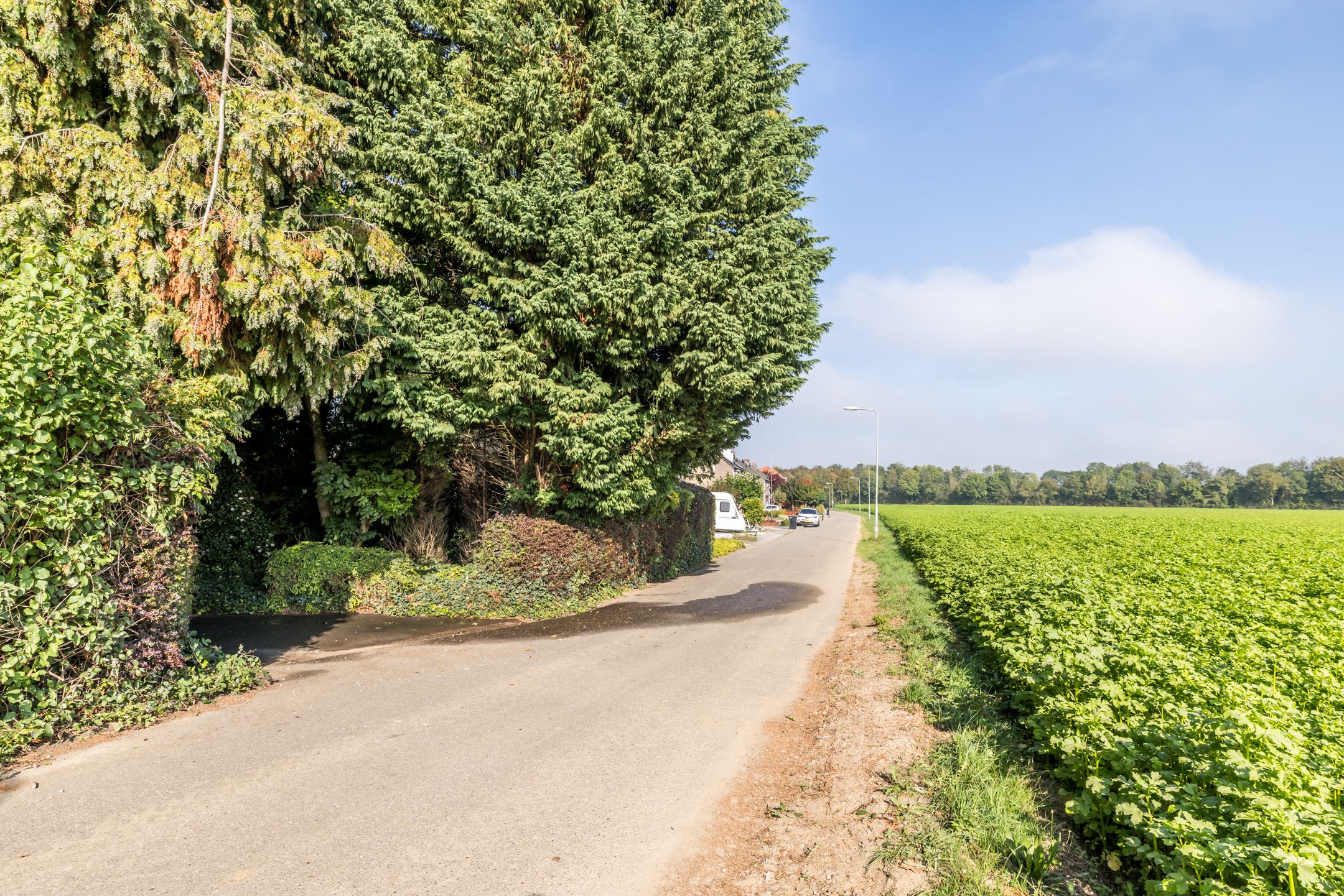 Foto 57 van Provincialeweg Noord 10