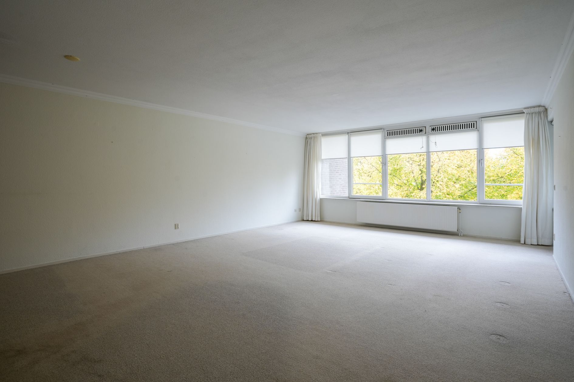 Foto 3 van Sjwats Jris 38