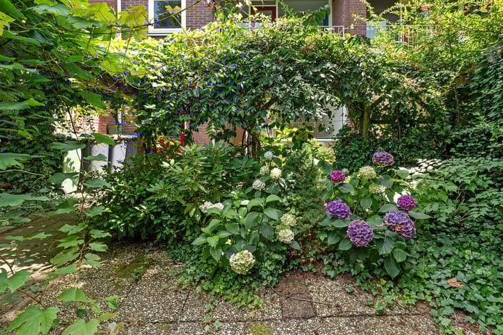 Photo 32 of Gruttostraat 53