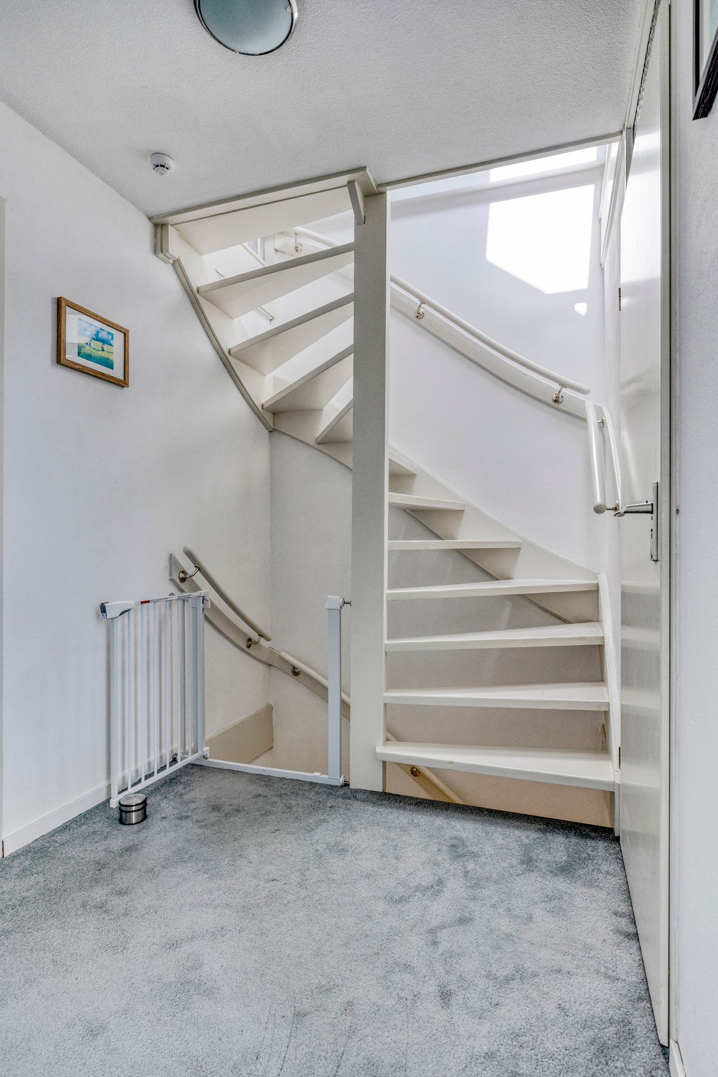 Foto 20 van Graan voor Visch 15113