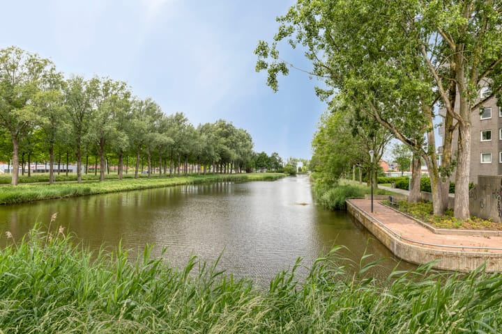 Foto 42 van Graan voor Visch 15113