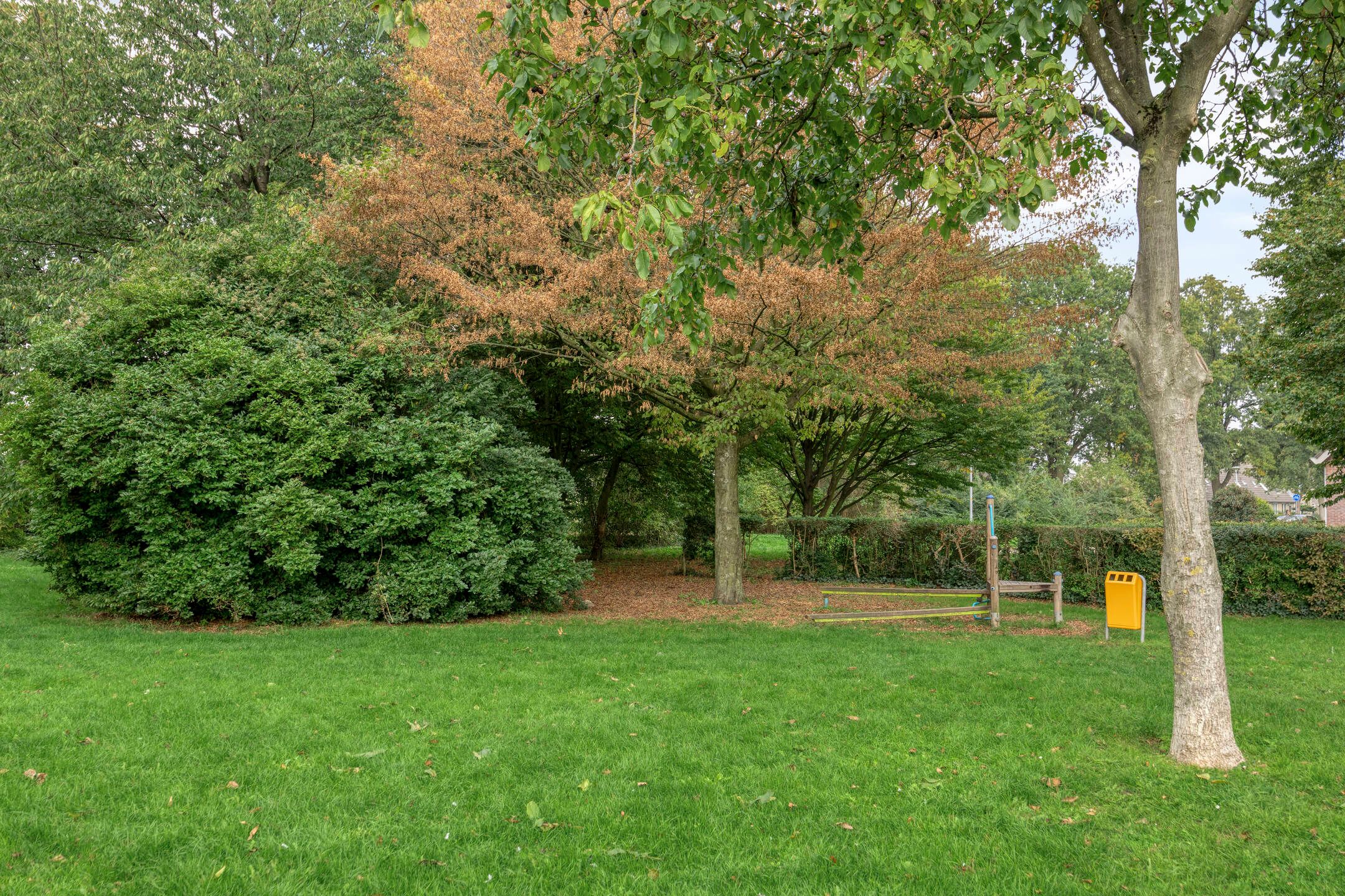 Foto 45 van F.J. Ebbensstraat 86