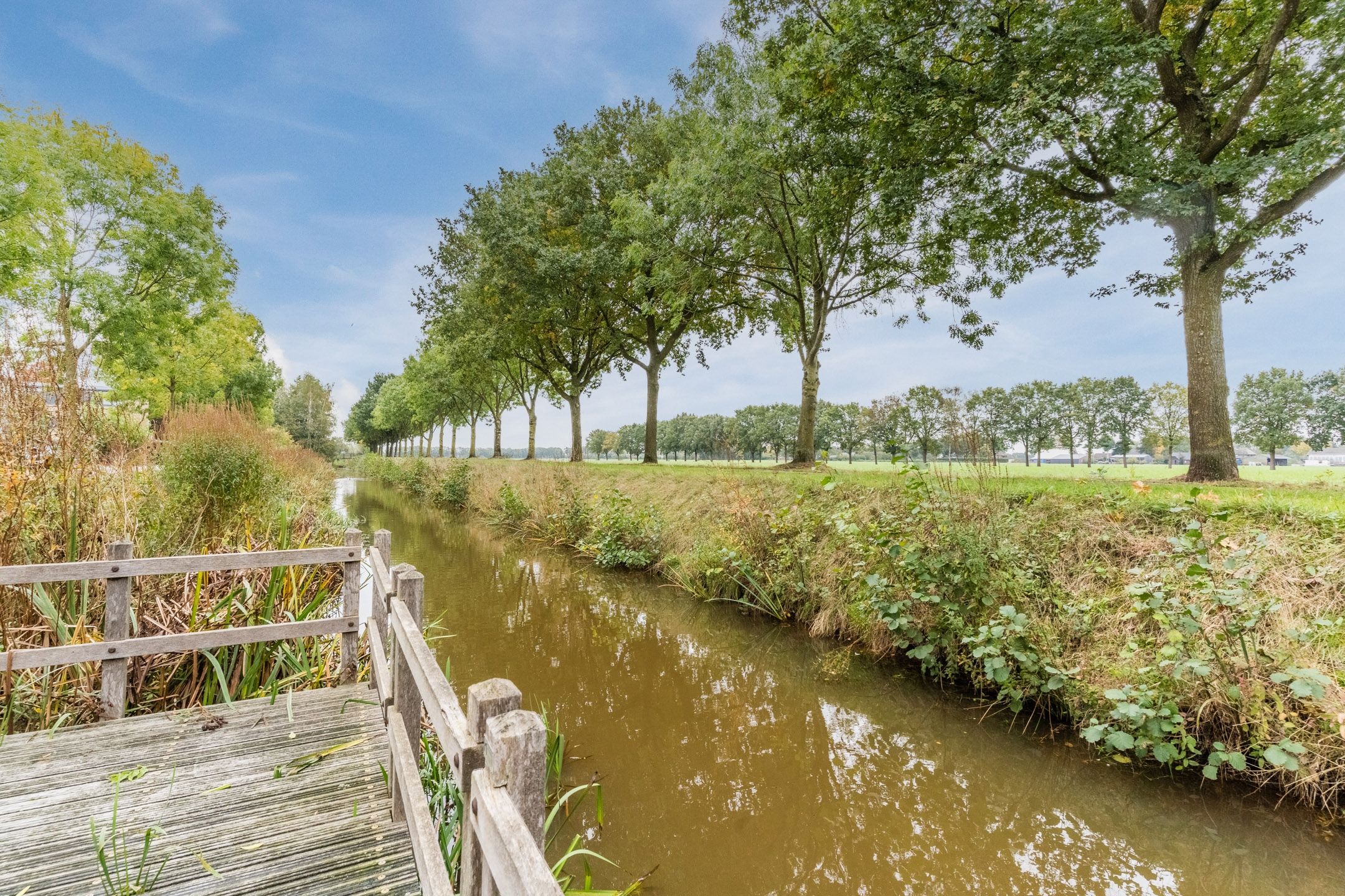 Foto 57 van Korenmijt 49