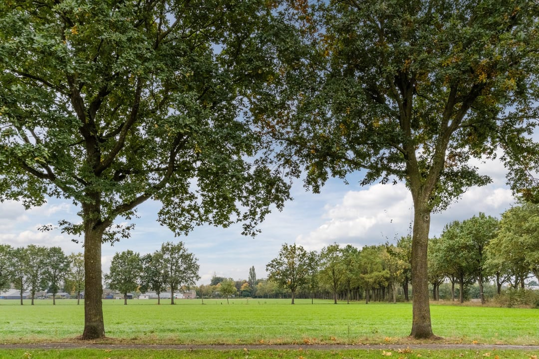 Foto 58 van Korenmijt 49