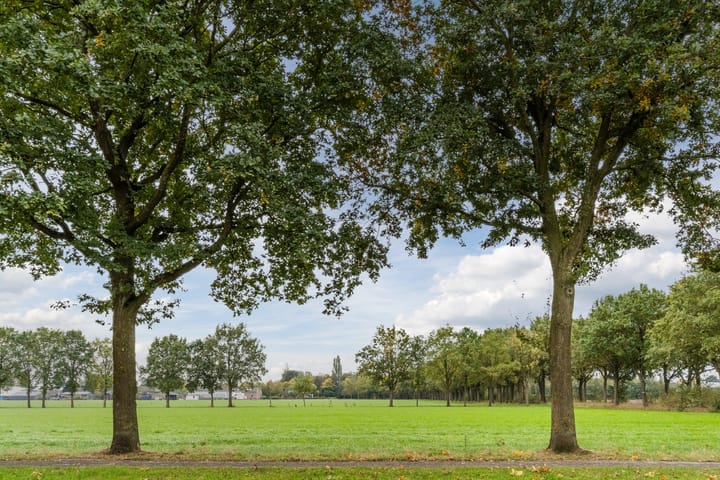 Foto 58 van Korenmijt 49