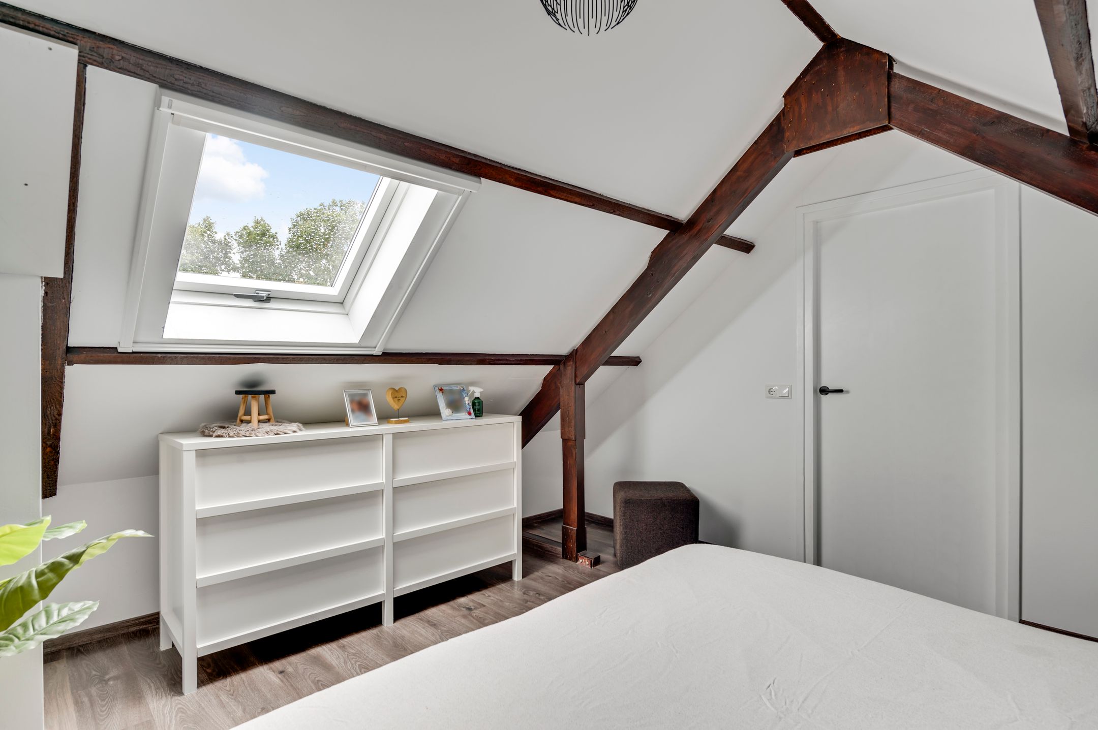 Foto 33 van Schelkens-ven 31