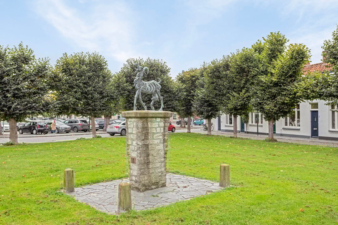 Foto 38 van Goudenbloemstraat 25