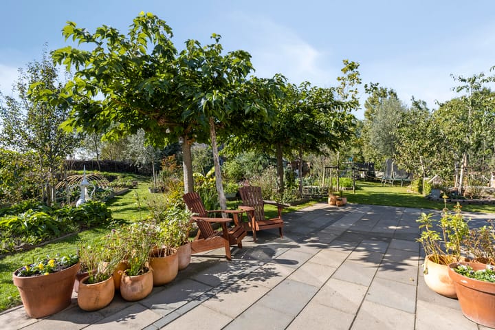 Photo 46 of Pompoenweg 58