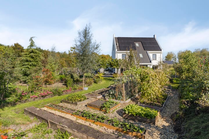 Photo 47 of Pompoenweg 58