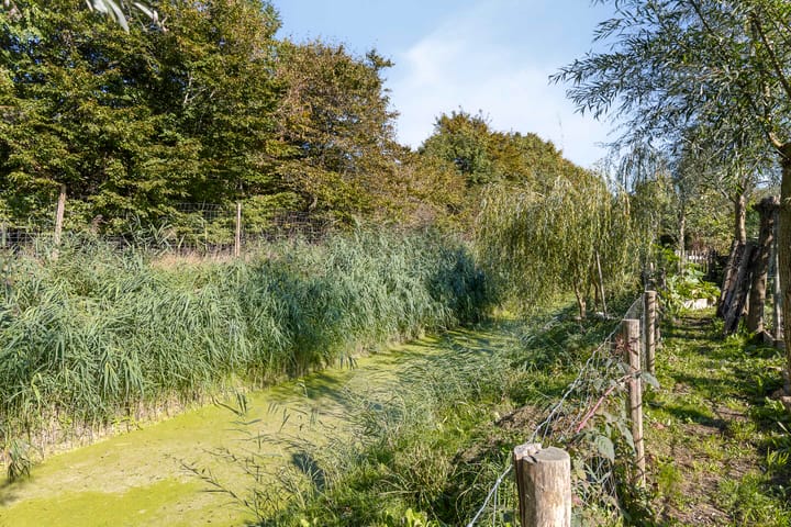 Photo 52 of Pompoenweg 58