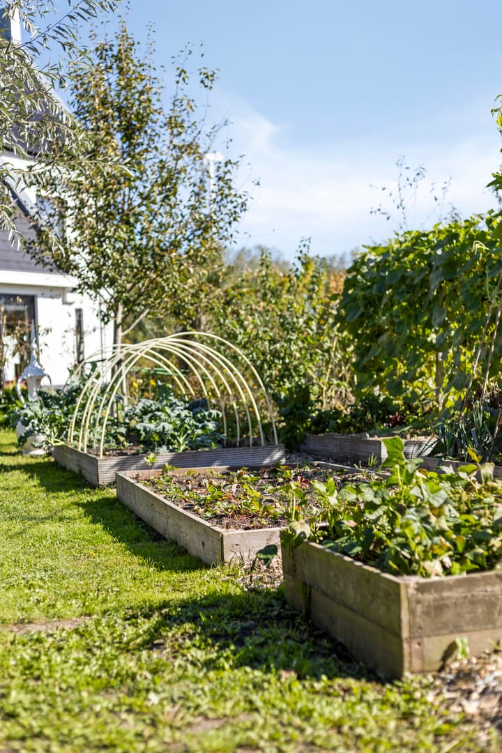 Photo 63 of Pompoenweg 58