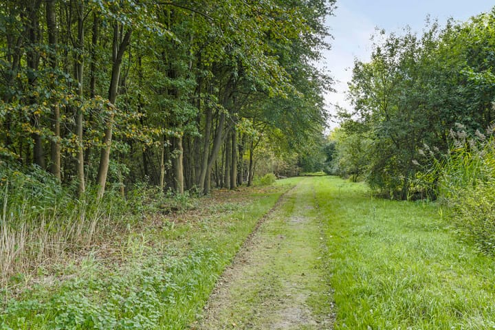 Photo 65 of Pompoenweg 58
