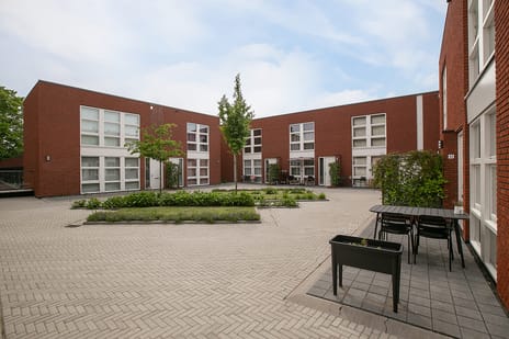 undefined main image