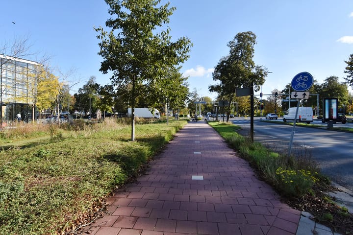 Photo 3 of Noordsingel 62