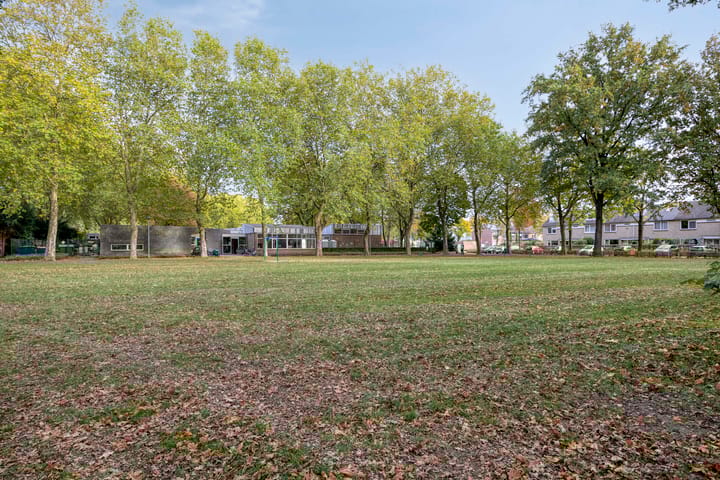 Photo 41 of Biesakkers 6