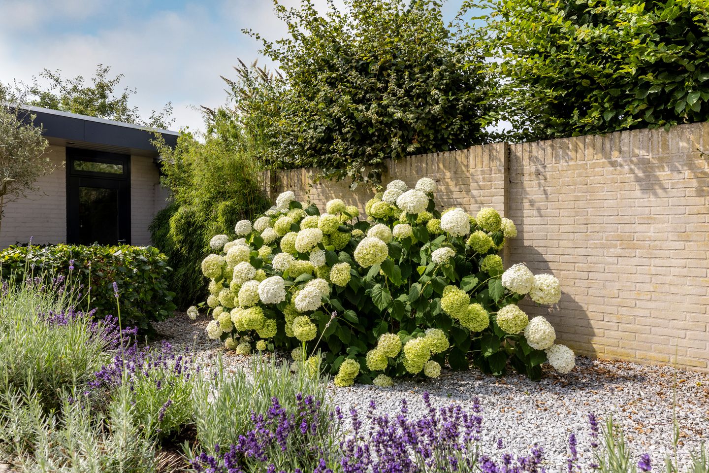 Foto 35 van Adriaan Poortersstraat 19